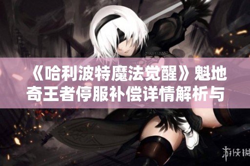 《哈利波特魔法觉醒》魁地奇王者停服补偿详情解析与玩法指南