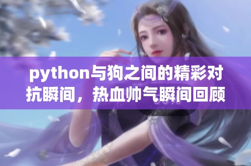 python与狗之间的精彩对抗瞬间，热血帅气瞬间回顾