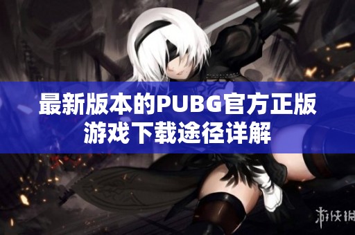 最新版本的PUBG官方正版游戏下载途径详解