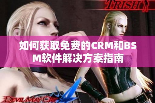 如何获取免费的CRM和BSM软件解决方案指南