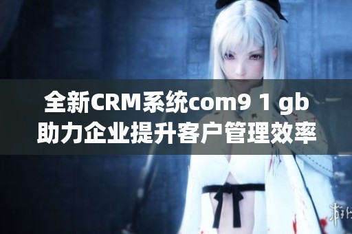 全新CRM系统com9 1 gb助力企业提升客户管理效率与销售业绩