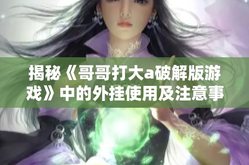 揭秘《哥哥打大a破解版游戏》中的外挂使用及注意事项