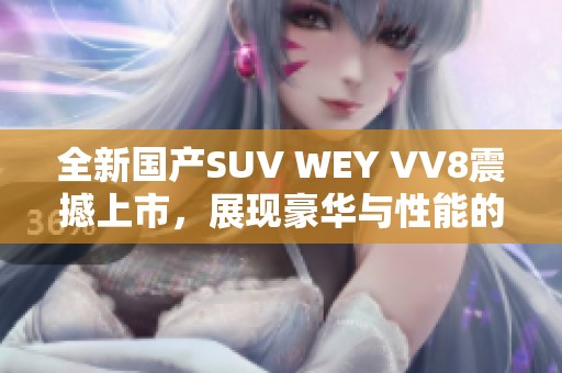 全新国产SUV WEY VV8震撼上市，展现豪华与性能的完美结合