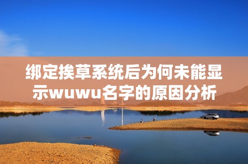 绑定挨草系统后为何未能显示wuwu名字的原因分析