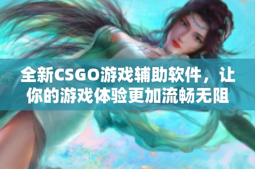 全新CSGO游戏辅助软件，让你的游戏体验更加流畅无阻