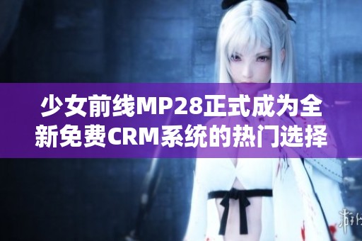 少女前线MP28正式成为全新免费CRM系统的热门选择