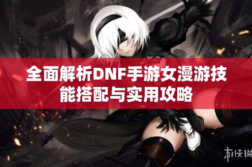 全面解析DNF手游女漫游技能搭配与实用攻略