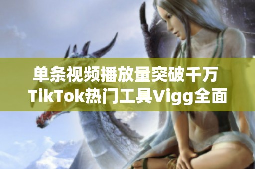 单条视频播放量突破千万 TikTok热门工具Vigg全面解析