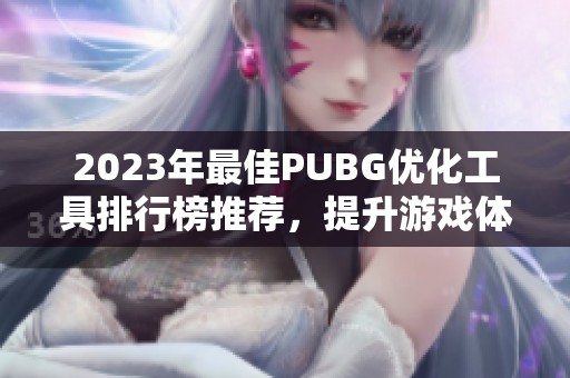 2023年最佳PUBG优化工具排行榜推荐，提升游戏体验不再难