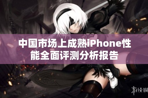 中国市场上成熟iPhone性能全面评测分析报告