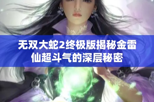 无双大蛇2终极版揭秘金雷仙超斗气的深层秘密