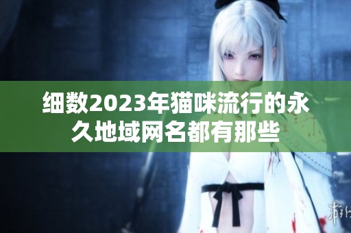 细数2023年猫咪流行的永久地域网名都有那些