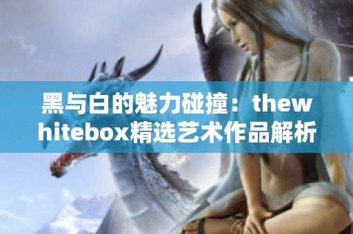 黑与白的魅力碰撞：thewhitebox精选艺术作品解析