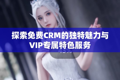 探索免费CRM的独特魅力与VIP专属特色服务