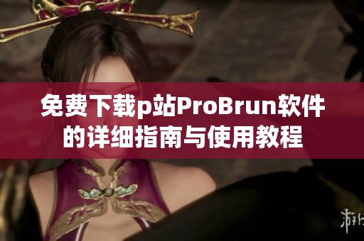 免费下载p站ProBrun软件的详细指南与使用教程