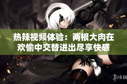 热辣视频体验：两根大肉在欢愉中交替进出尽享快感