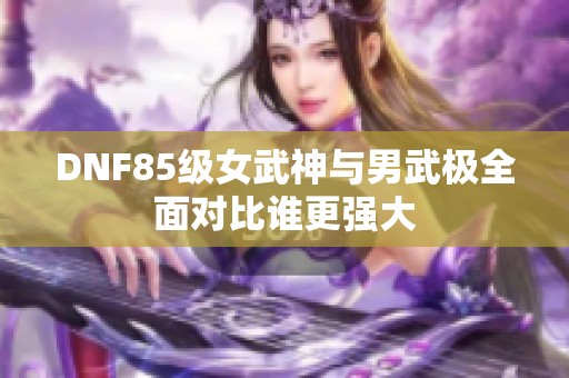 DNF85级女武神与男武极全面对比谁更强大