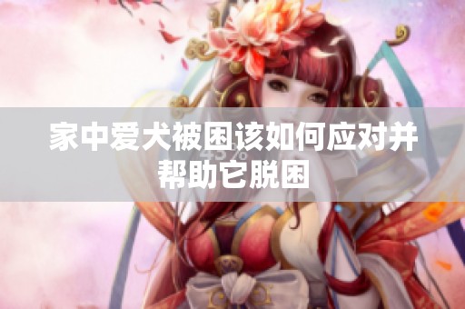 家中爱犬被困该如何应对并帮助它脱困
