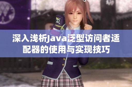 深入浅析Java泛型访问者适配器的使用与实现技巧