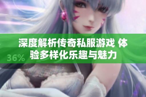 深度解析传奇私服游戏 体验多样化乐趣与魅力