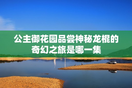 公主御花园品尝神秘龙棍的奇幻之旅是哪一集