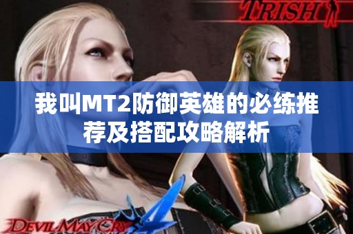 我叫MT2防御英雄的必练推荐及搭配攻略解析