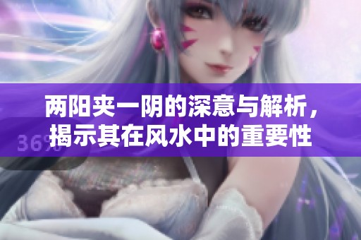 两阳夹一阴的深意与解析，揭示其在风水中的重要性