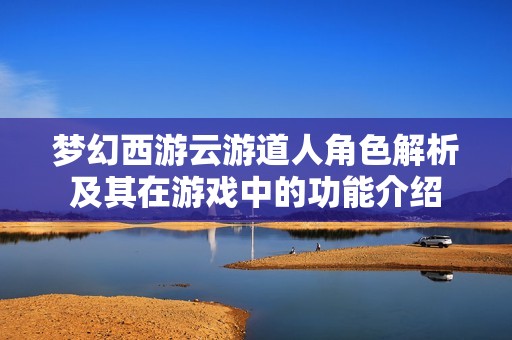 梦幻西游云游道人角色解析及其在游戏中的功能介绍