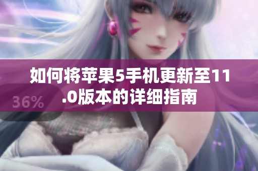 如何将苹果5手机更新至11.0版本的详细指南