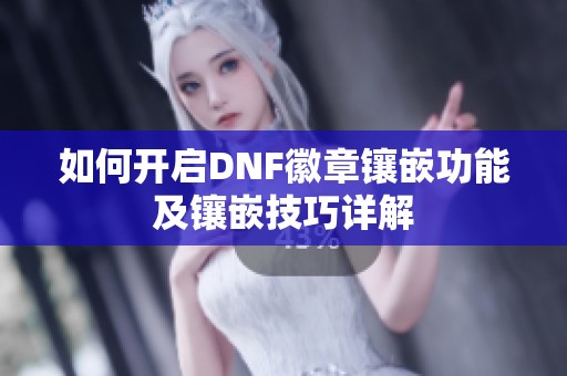 如何开启DNF徽章镶嵌功能及镶嵌技巧详解