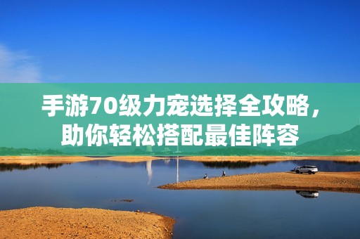 手游70级力宠选择全攻略，助你轻松搭配最佳阵容