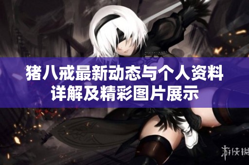猪八戒最新动态与个人资料详解及精彩图片展示