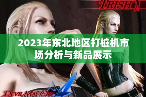 2023年东北地区打桩机市场分析与新品展示