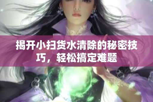 揭开小扫货水清除的秘密技巧，轻松搞定难题