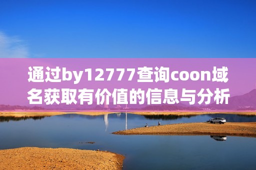 通过by12777查询coon域名获取有价值的信息与分析