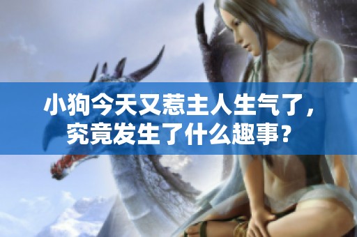 小狗今天又惹主人生气了，究竟发生了什么趣事？