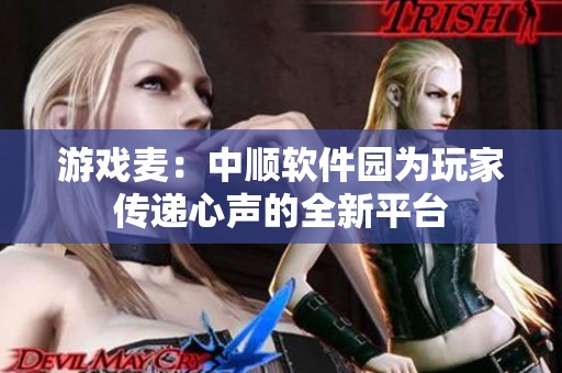 游戏麦：中顺软件园为玩家传递心声的全新平台