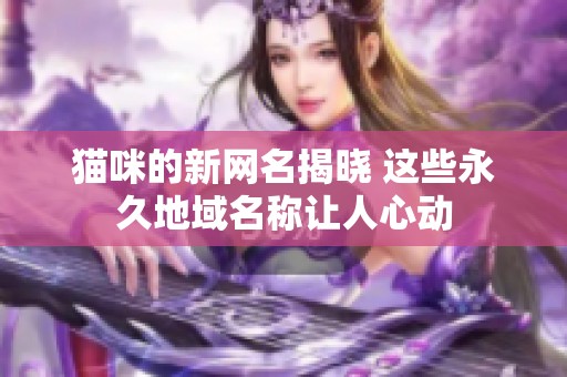 猫咪的新网名揭晓 这些永久地域名称让人心动