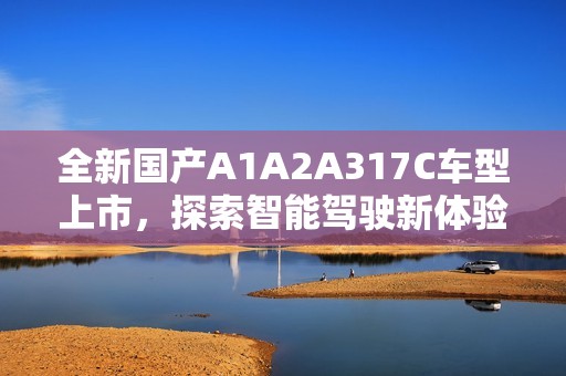 全新国产A1A2A317C车型上市，探索智能驾驶新体验