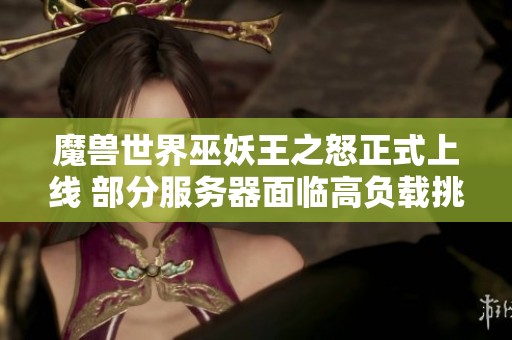 魔兽世界巫妖王之怒正式上线 部分服务器面临高负载挑战