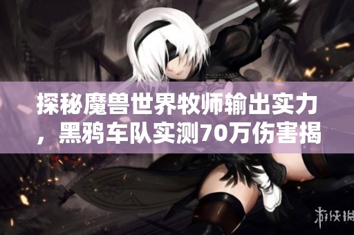 探秘魔兽世界牧师输出实力，黑鸦车队实测70万伤害揭秘