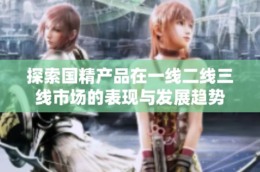 探索国精产品在一线二线三线市场的表现与发展趋势