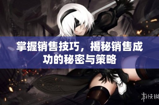 掌握销售技巧，揭秘销售成功的秘密与策略