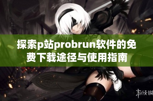 探索p站probrun软件的免费下载途径与使用指南