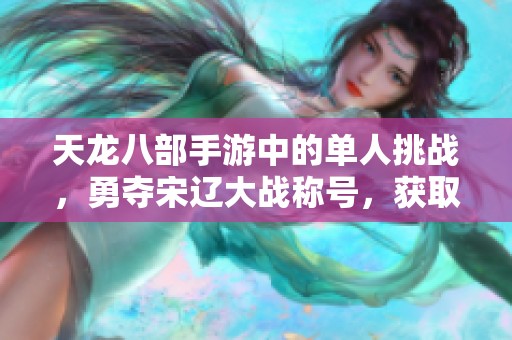 天龙八部手游中的单人挑战，勇夺宋辽大战称号，获取荣誉与奖励