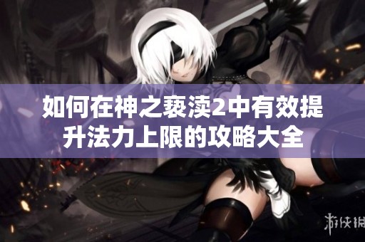 如何在神之亵渎2中有效提升法力上限的攻略大全