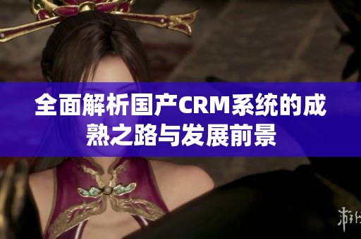 全面解析国产CRM系统的成熟之路与发展前景