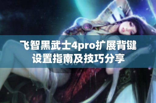 飞智黑武士4pro扩展背键设置指南及技巧分享