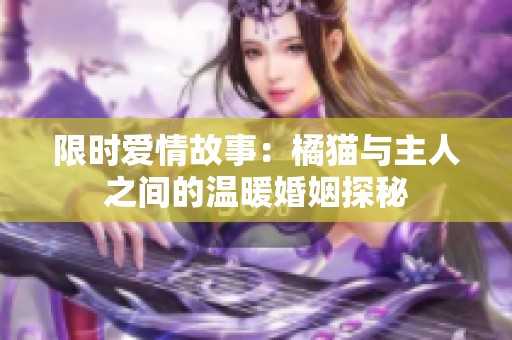 限时爱情故事：橘猫与主人之间的温暖婚姻探秘