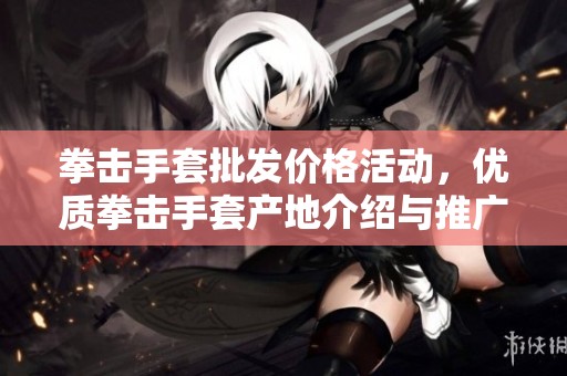 拳击手套批发价格活动，优质拳击手套产地介绍与推广